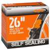 CAMERA 26 X 1.75/2.125  SELF V/FRA48 CST