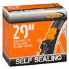 CAMERA 29X1.90/2.35  SELF V/FRA48 CST