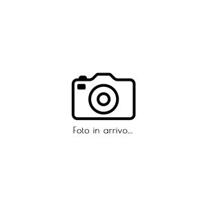 CICLO OLANDA basic 26 PANNA