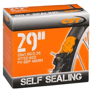 CAMERA 29X1.90/2.35  SELF V/FRA48 CST