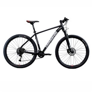 SESTRIERE 500 29 L-45 OSSID